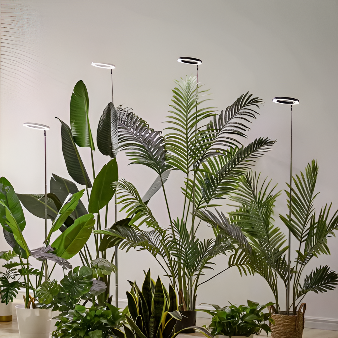 Full Spectrum LED Grow Light with Adjustable Height and Programmable Timer