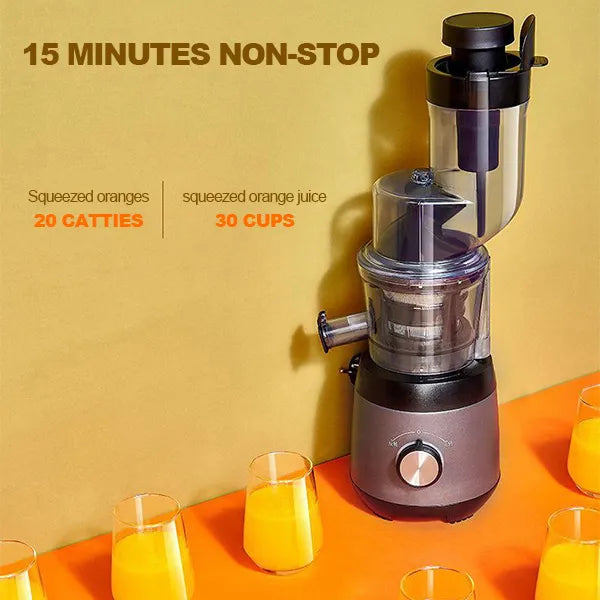 Screw Press Juicer with Wide Feed Chute and Integrated Filtration, DC Motor