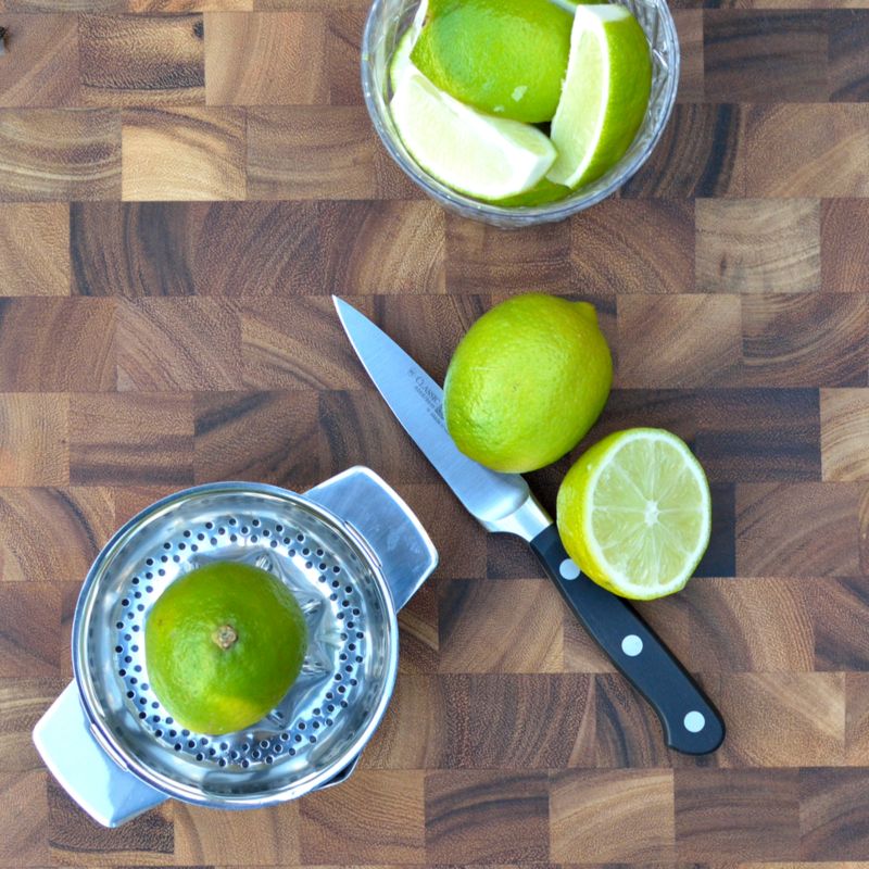 Stainless Steel Citrus Juicer Modern Design, Kitchen Prep