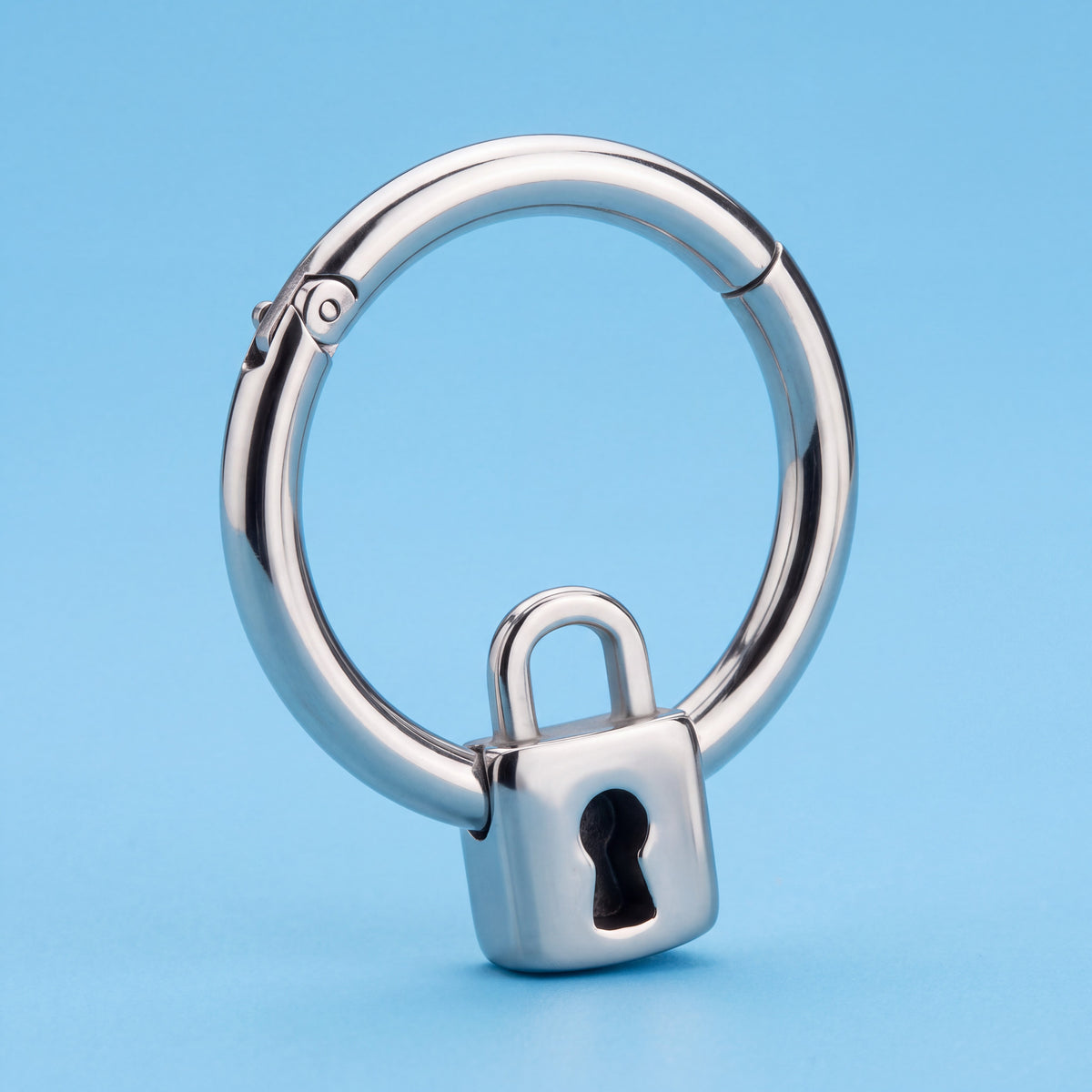 Hinged Segment Ring with Lock Closure, 316L Stainless Steel