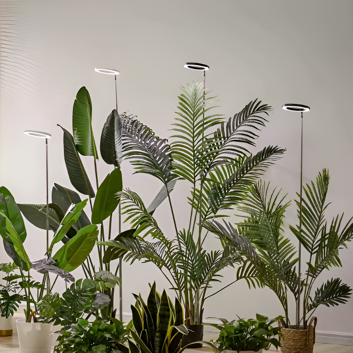 Full Spectrum LED Grow Light with Adjustable Height and Programmable Timer