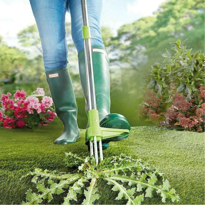 Root Extraction Tool with Three Spring Loaded Claws and 36 Inch Handle