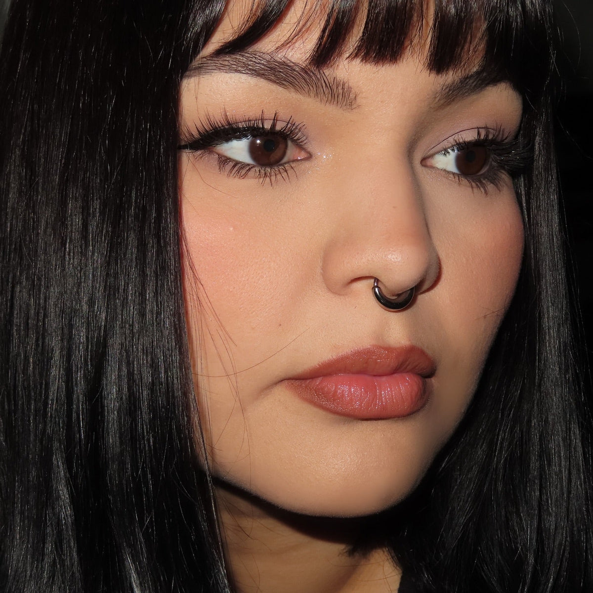 Stainless Steel Hinged Segment Septum Ring with Seamless Design