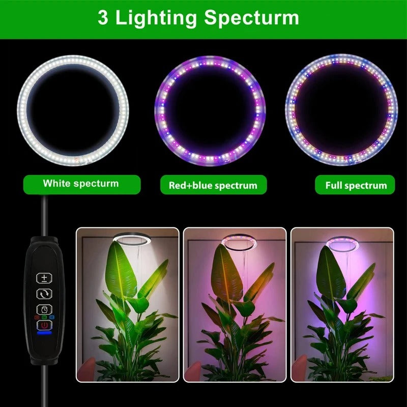 Full Spectrum LED Grow Light with Adjustable Height and Programmable Timer