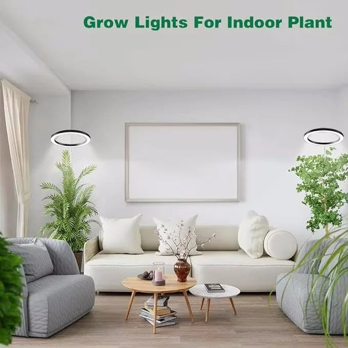 Full Spectrum LED Grow Light with Adjustable Height and Programmable Timer