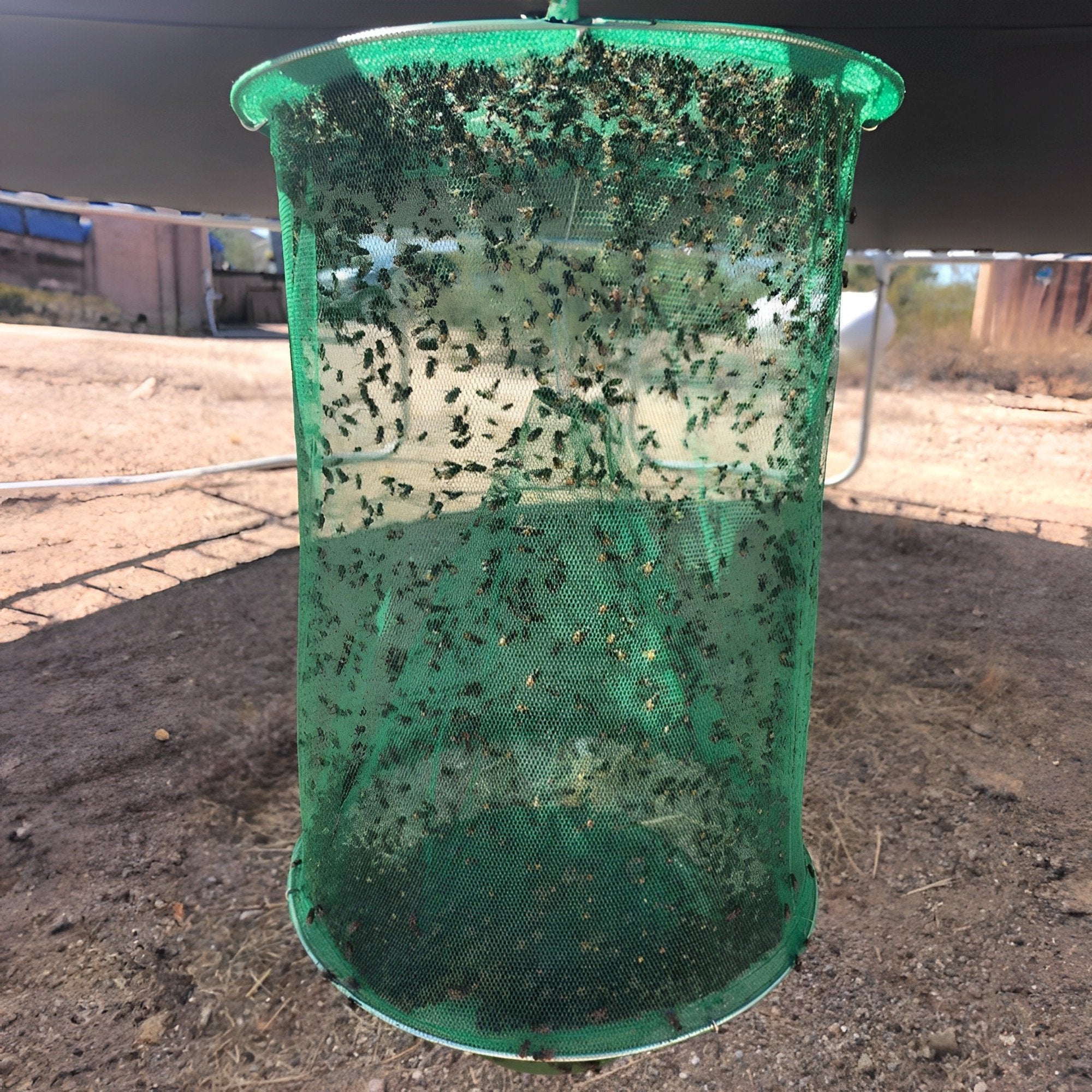 Expandable Fly Trap with Natural Attractant and Hanging Hardware, Reusable Design