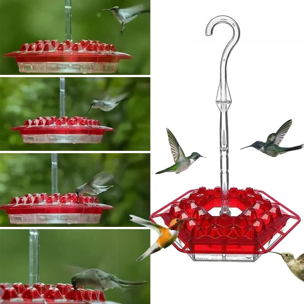 Hummingbird Feeder with 30 Feeding Ports and Integrated Ant Moat, Dishwasher Safe