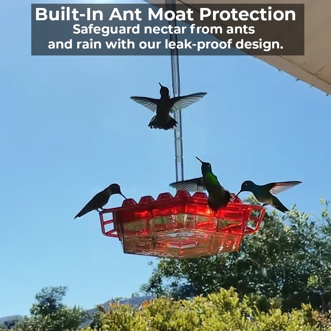 Hummingbird Feeder with 30 Feeding Ports and Integrated Ant Moat, Dishwasher Safe