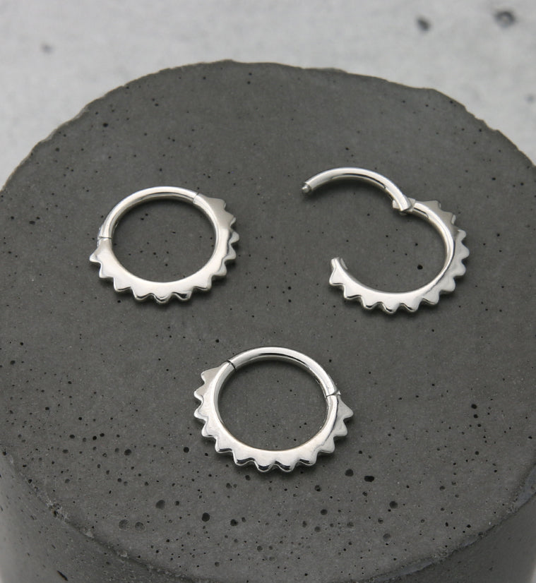 Spine Hinged Segment Ring